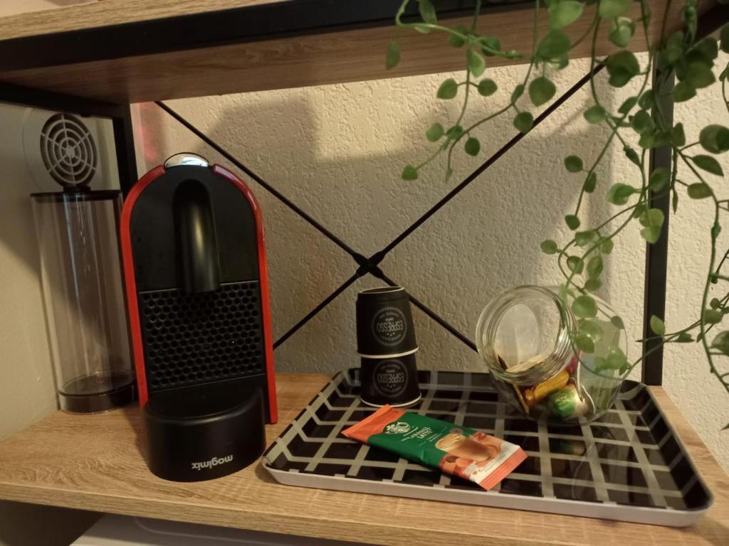 Appartement Calme Et Bien Situe 타르브 외부 사진